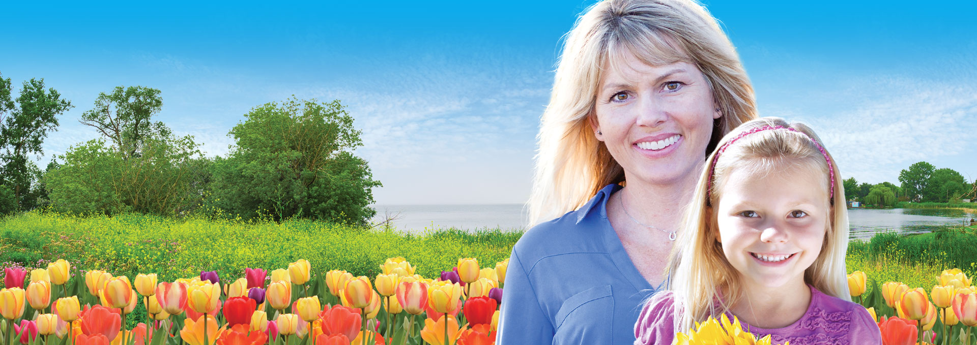 Saginaw Dental Excellence A New Spirit of Trusted & Affordable Dental